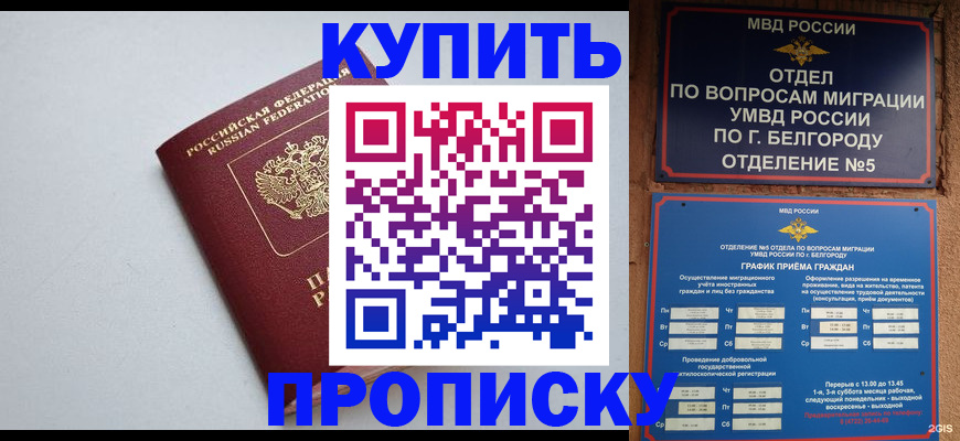 прописка регистрация в Кимрах